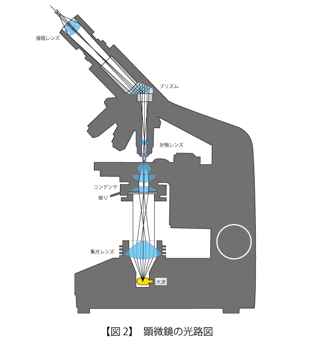 名称 顕微鏡 中1理科「顕微鏡・双眼実体顕微鏡・ルーペの使い方」
